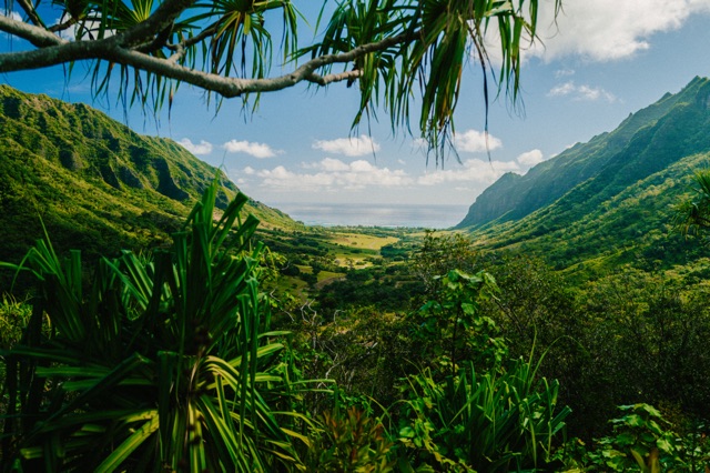 Oahu photograph