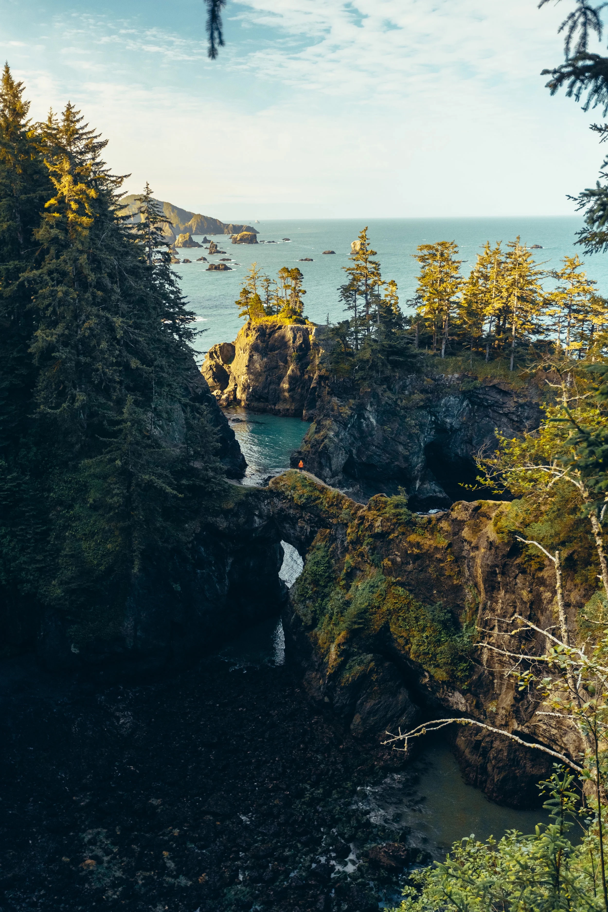 Oregon