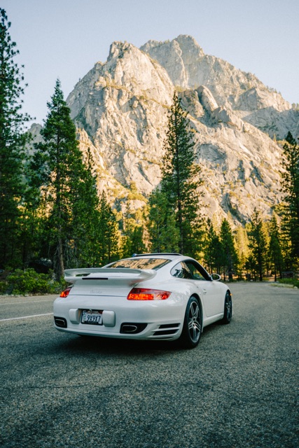 Sequoia photograph