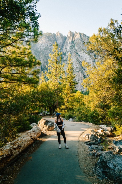 Sequoia photograph